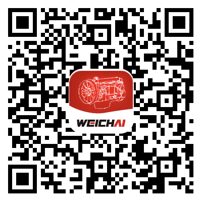 ueditor_1731316258_39801.png